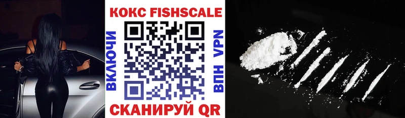 Cocaine Fish Scale  Купить закладки  Жирновск 