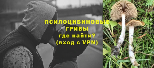 мет Гусев