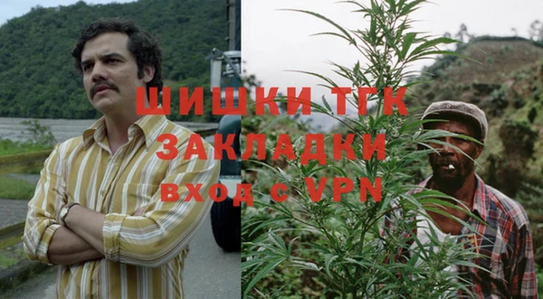 мет Гусев